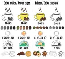 Arabica and robusta. Types of coffee with a description in the form of icons of growing, amount of caffeine, aroma, optimum temperature for maturation. vector