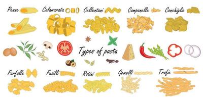 tipos de pastas diferencia de pasta corta, ejemplo de ilustración con ingredientes. vector