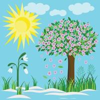 Spring with snowdrop and blooming tree. Four seasons. vector