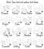 Hard, Semi-hard and medium-hard cheeses. Hand-drawn types of cheese with characteristics of each type. vector