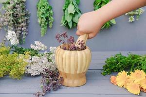 harvesting herbs for healing tea. pestle and mortar photo