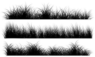 grass border, grass silhouette vector