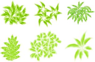 arbusto de acuarela, hojas de acuarela vector