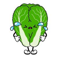 Cute funny crying sad Chinese cabbage character. Vector hand drawn traditional cartoon vintage, retro, kawaii character illustration icon. Isolated on white background. Cry cabbage character concept