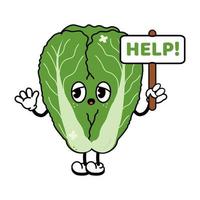 Sad suffering sick cute Chinese cabbage asks for help character. Vector flat cartoon illustration icon design. Isolated on white backgound. Suffering unhealthy Chinese cabbage character concept