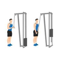 Man doing Triceps presdown  exercise. Flat vector illustration isolated on white background