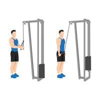 Man doing Cable rope pushdown exercise. Flat vector illustration isolated on white background