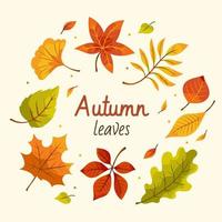 otoño hojas caídas vector