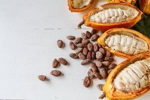 Half cacao pods and cacao fruit with brown cocoa   beans photo