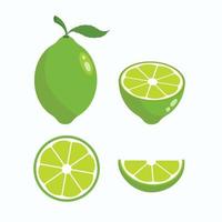 vector rodaja de lima verde ilustración limón aislado mitad fruta lima. icono de cítricos de corte verde fresco.