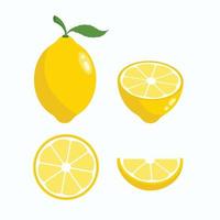 frutas frescas de limón, colección de ilustraciones vectoriales vector