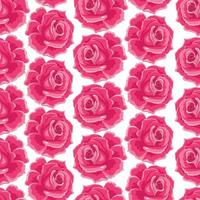 Seamless pattern with pink roses in flat style vector