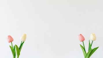 mockup of tulips flowers on a white background photo