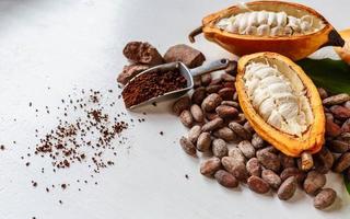 medias vainas de cacao con frutos de cacao y polvo de cacao marrón foto