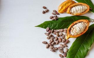 Half cacao pods and cacao fruit with brown cocoa   beans photo