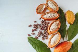 Half cacao pods and cacao fruit with brown cocoa   beans photo