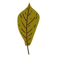 Fresh green leaf vector icon. Hand drawn veined leaf on a stem. Flat cartoon clipart isolated on white background. Summer botanical illustration. Birch, apple, pear leaf. Garden plant, natural element