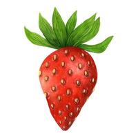 Strawberry hand drawn vector icon. Ripe sweet berry with leaves and stem isolated on white background. Watercolor fresh summer fruit, tasty garden dessert. Wild strawberries, healthy food