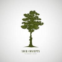 green tree silhouettes on white background and Tree silhouettes green maple and sugar maple, oak tree branches vector