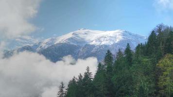 pico de montanha nevado de 8k atrás da floresta video