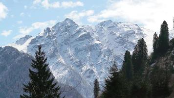 8k hoher schneebedeckter Berggipfel hinter dem Wald video