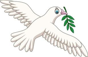 Cartoon dove with an olive branch vector