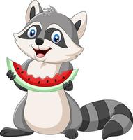 Cartoon raccoon eating watermelon on a white background vector