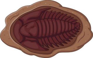 Ilustración de fósil de trilobites sobre un fondo blanco. vector