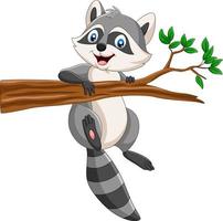 Cartoon Raccoon on the tree branch