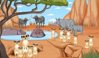 Dryland forest landscape with animals vector