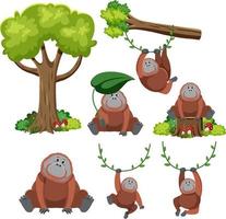 Wild animals set with nature elements vector