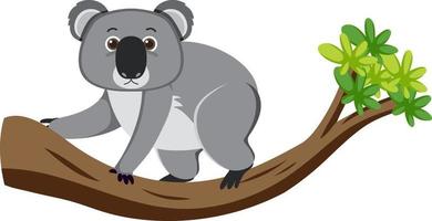 Koala on tree cartoon character vector