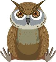 Cute owl in flat style isolated vector