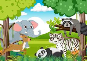 Wild animals in the forest vector