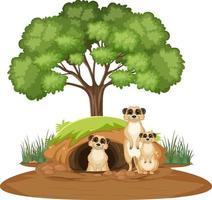 Group of meerkats with burrow in cartoon style vector