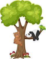 oso y panda en un árbol vector