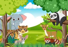 Wild animals in the forest vector