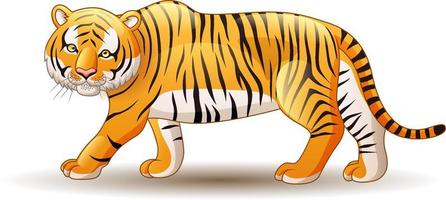 Cartoon tiger isolated on white background vector