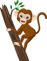 Cartoon baby monkey climbing tree branch vector