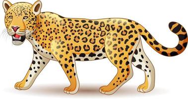 leopardo de dibujos animados aislado sobre fondo blanco vector