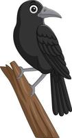 Cartoon crow standing on a tree branch vector