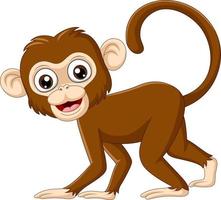 Cute baby monkey on white background vector