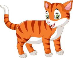 Cartoon funny cat isolated on white background vector