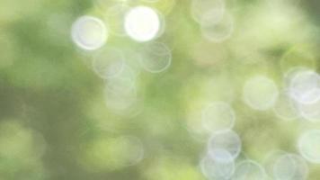 Bokeh abstract nature leaf tree green refreshing background suitable for text fill graphic design decorative agriculture photo