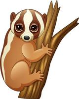 Cartoon slow loris on the branch vector