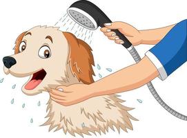 perro de dibujos animados bañándose con ducha vector