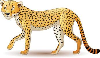 Cheetah Cartoon Vector Art, Icons, and Graphics for Free Download Cheetah Cartoon Vector Art, Icons, and Graphics for Free Download