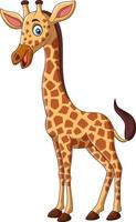 Cartoon giraffe isolated on white background vector