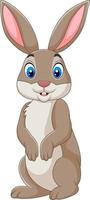 Cartoon happy rabbit isolated on white background vector