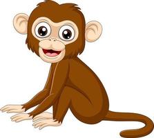 Cute baby monkey sitting on white background vector